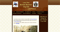 Desktop Screenshot of lonestarbmd.org